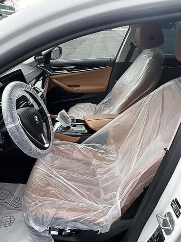 BMW 5 series: 2019 г., 2 л, Автомат, Бензин, Седан — 10