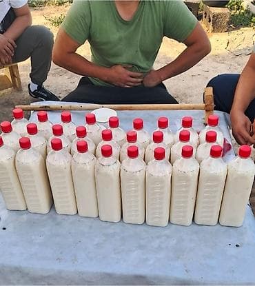 Тазза кымыз.сатылат 250сом — 1