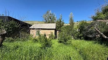 учас: 6 соток, Кызыл китеп — 3