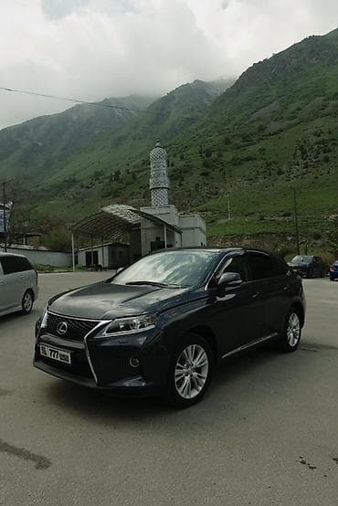 2011: Lexus RX: 2011 г., Кроссовер — 10