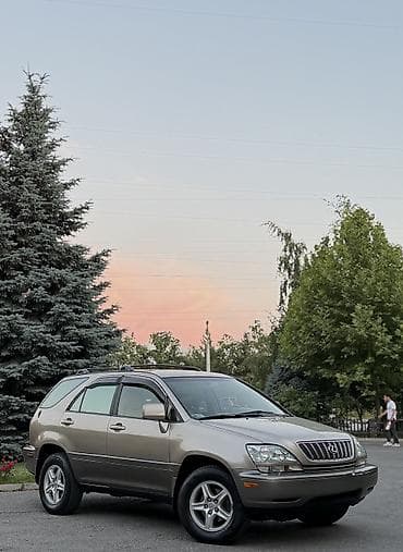 Lexus RX: 2002 г., 3 л, Автомат, Бензин, Внедорожник