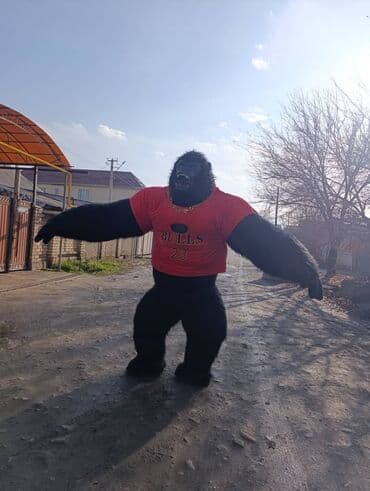 Прокат одежды: Ростовая кукла, Супергерой, Медведь — 6