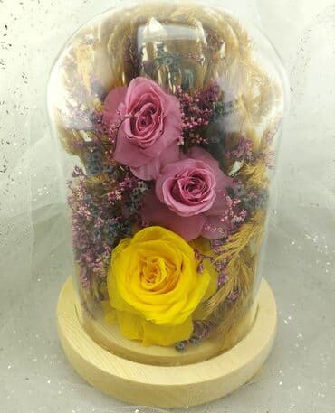 метровые розы бишкек: Живые розы которые не завянут даже через год!!! Бишкек (Вазы от 1400 — 7