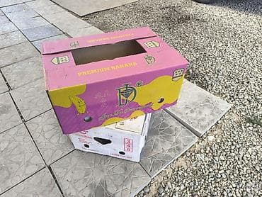 коробка для фруктов: Ящик — 3