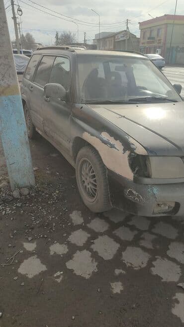 амортизаторы субару форестер: Subaru Forester: 2000 г., 2.5 л, Универсал — 4