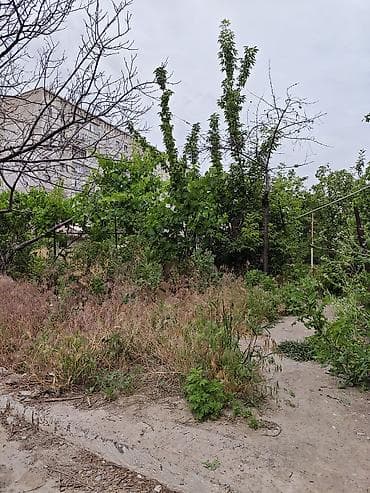 танк 108: Бактарды кыйып, болуп жарганга бир бала керек. Баасын суйлошобуз — 2
