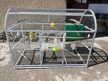 Все для дома и сада: Защитные сетки от птиц — 2