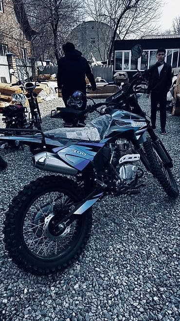 Мотороллеры муравей: Эндуро 300 куб. см, Бензин, Взрослый — 2