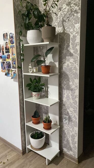 полка для дома: Высота 1700
длина полки 45 см 
ширина полки 22 см.
Полка новая ! — 2