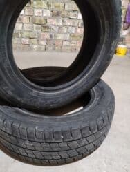 кой кыркыч: Продаю | Жеребенок | Для разведения | Племенные — 4