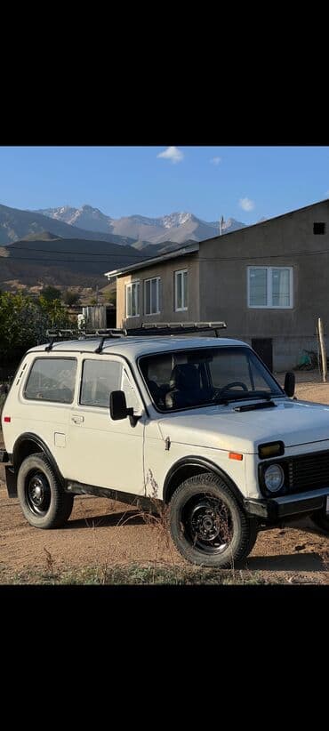 опел фратера: ВАЗ (ЛАДА) 4x4 Нива: 1988 г., 1.6 л, Механика, Бензин, Внедорожник — 9