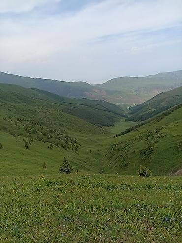 корпоративный: Срочно куплю участок!!! Шаардын ичинен 4-5 соток четинен болсо 5-8 — 1