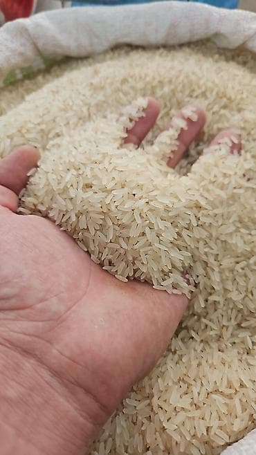 кемр авокадо: Рис Shalimar (Шалимар) — длиннозёрный пропаренный рис. Основные — 2
