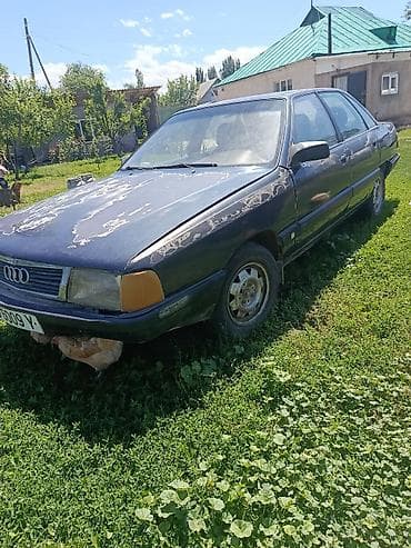 nardo grey: Audi 100: 1991 г., Бензин, Седан — 1