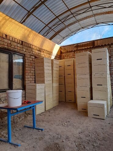 продажа домашних животных: Ульи для пчёл Преимущества ППУ ульев Пенополиуретан (ППУ) -Это — 21