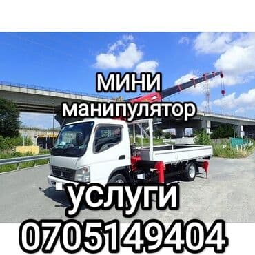 меняю на дом: Манипулятор — 1