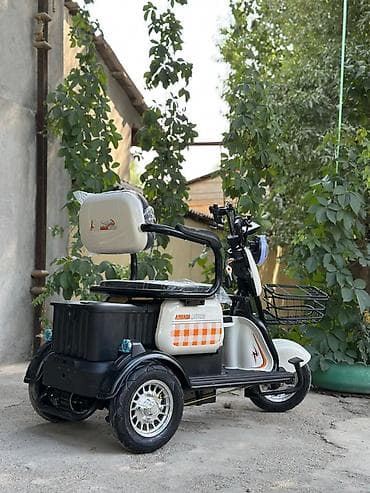 скутр электро: Электрический трёхколёсный скутер (трицикл) - Устойчивая трёхколёсная — 8