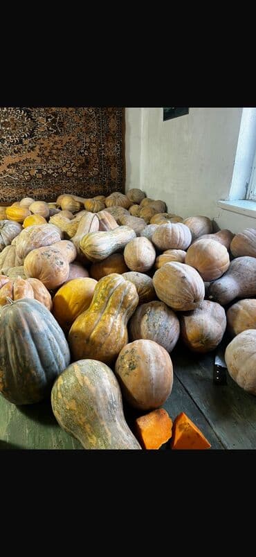 поролон 5 см цена: Тыква домашний из чистого огорода Адрес находится в городе Кант 1кг — 2