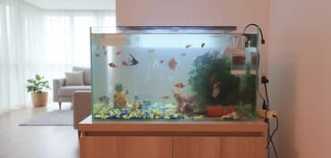 Очень срочно продаю!!!!!! Аквариумный комплект с оборудованием и