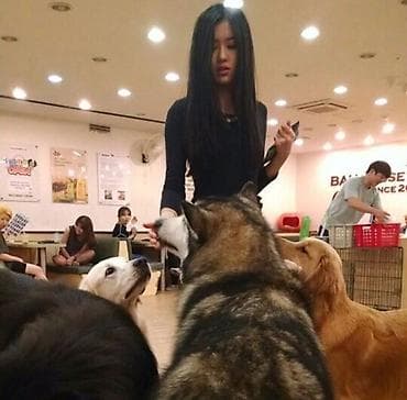 Ищу работу 17 лет at lalafo.kg Ищу работу 17 лет