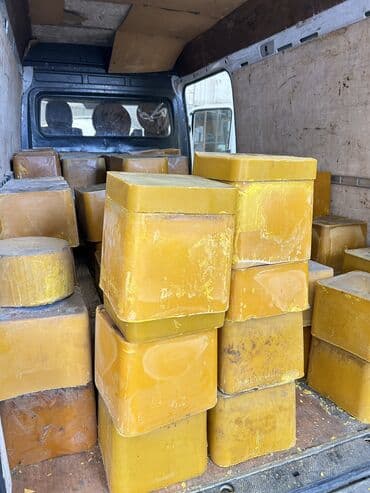 купить кошку бишкек: Подаю воск пчелиный цена 550-600 сом Оптом скидка будет имеется 5 тон — 3