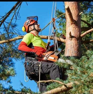 Дарак кесебиз любой сложности