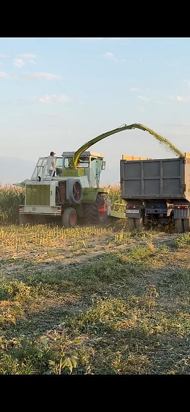 Кемирүүчүлөр: СИЛОС❗️❗️❗️
Продается рассыпной силос. 300 тон, адрес Кара-Балта — 1