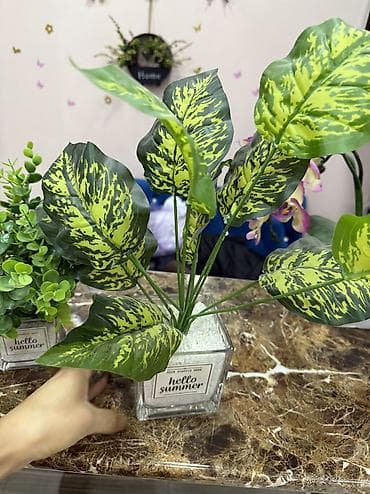 Освещение: Искусственные орхидеи в кашпо - Компактные декоративные композиции из — 5