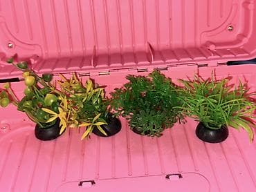 Набор декоративных растений для аквариума (искусственные) цена разная