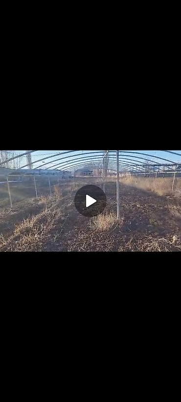 молочные продукты: Продаётся тепличный каркас на земельном участке. - Тип: арочная — 2