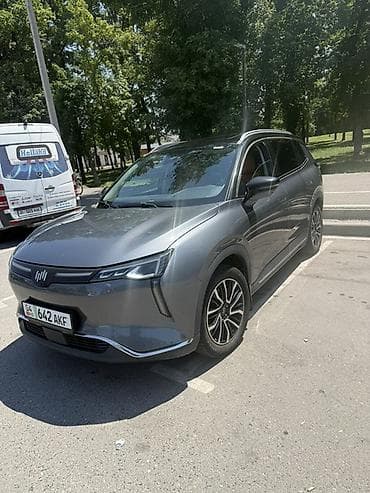 Weltmeister W6, 2021 г., 135000 км