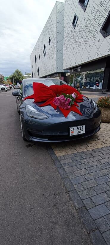 новогоднее оформление: Организация мероприятий | Гелевые шары, Ведущий, тамада, Аниматоры — 18