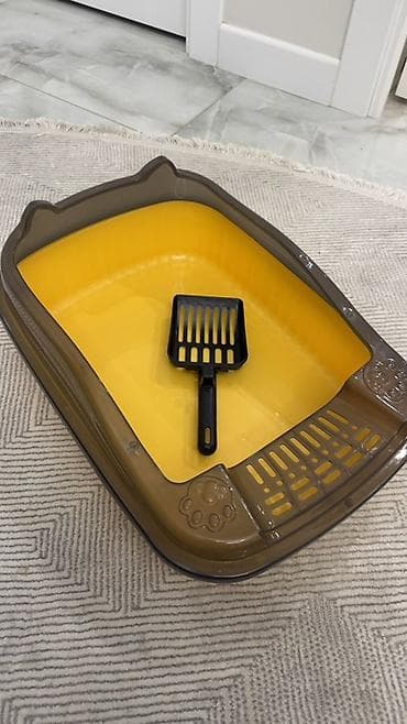 Вязка кошек: Новый лоток для кошек с бортиками + совок - Открытый лоток — 1