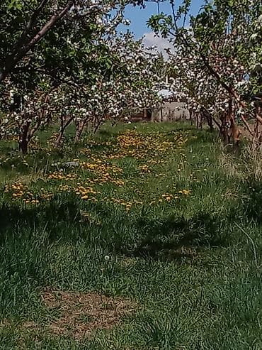 металлический ящик с крышкой: Продажа:Пирит-Золото дураков. Для коллекционеров 53 грамм Найдено в — 2