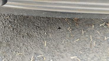 сдаю частный дом в аренду: 59 м², 3 комнаты, Забор, огорожен — 1