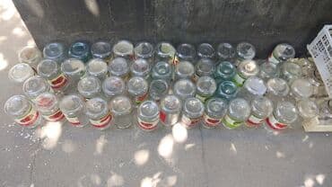 семена помидоры: Банки, Б/у — 2