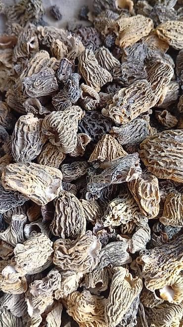 Продукты питания: Сушёные сморчки (Morchella) - Натуральные лесные грибы, высушенные до — 1