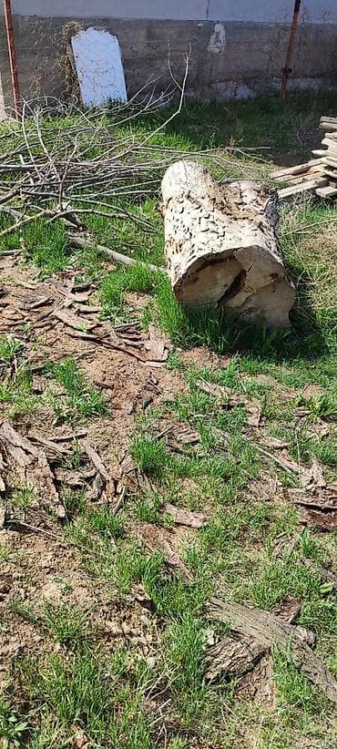 Все для дома и сада: Дрова — 3