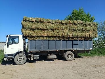 корм для собак бишкек цена: Услуга Перевозка Тюков Грушики есть. Бишкек Сокулук Беловодск Чүй обл — 1