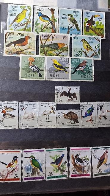 Көркөм өнөр жана коллекциялоо: Коллекция почтовых марок с орнитологической и микологической — 1