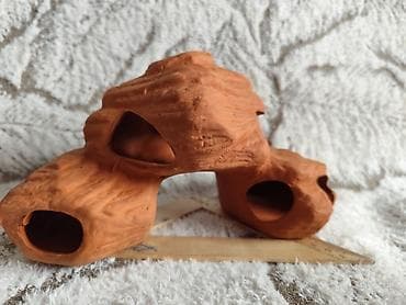 рыбы: Продаю новый домик укрытие для сомов анцитрусов - 500 сом. А также — 2