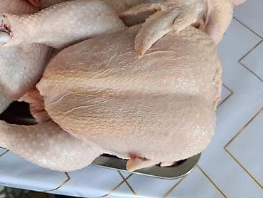 забыл: Продаю мясо куриц бройлера 💯 халал строго соблюдается по шари'ату — 4