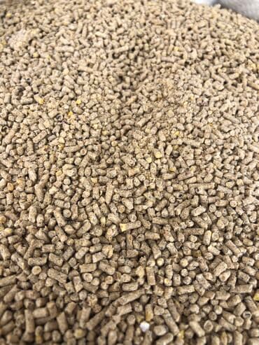 рыба сокулук: Корм оптом и розницу! Доставка по Канту! Кукуруза Пшеницы Ячьмень — 3