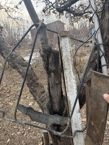 получить электронный пропуск в бишкеке: Передний спойлер Mercedes-Benz Б/у — 9