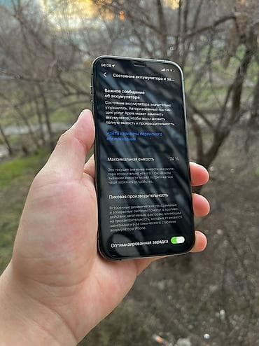 honor 30i: IPhone 12 Pro, Новый, 128 ГБ, Графит, Чехол, 74 % — 7