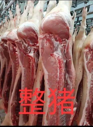 Продажа мясо свинины 猪肉批发及零售