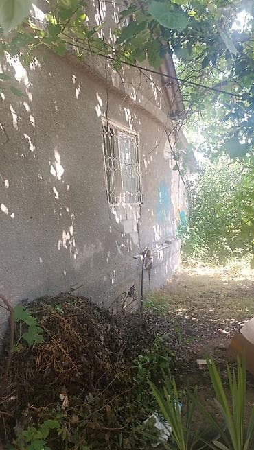 дома кок жар: Садовый участок с баней и летними постройками - Русская баня: парилка — 10