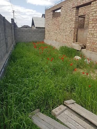 Кыймылсыз мүлк: 5 соток, Сатып алуу-сатуу келишими, Кызыл китеп — 8