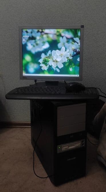 компьютерные мыши logicfox: Компьютер, ядролор - 4, ОЭТ 4 ГБ, Татаал эмес тапшырмалар үчүн, Колдонулган — 1