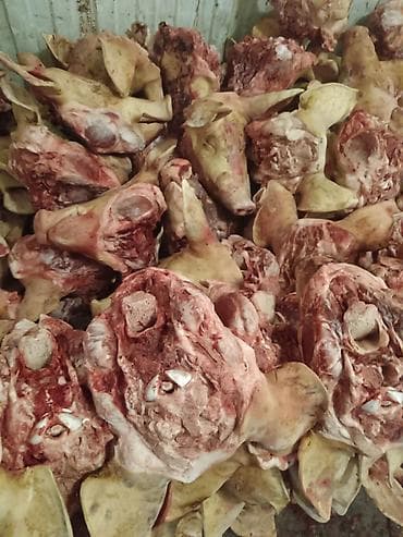 Осоо ПромАгро Оптовая продажа мясо свинины в пол тушахСубпродукты — 6